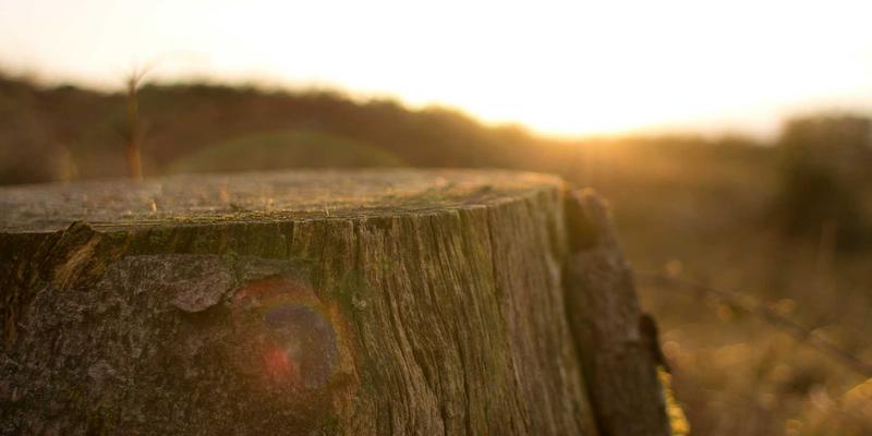 从稳固根基到完美呈现：高层建筑深基坑支护设计与装饰装修工程的协同之道