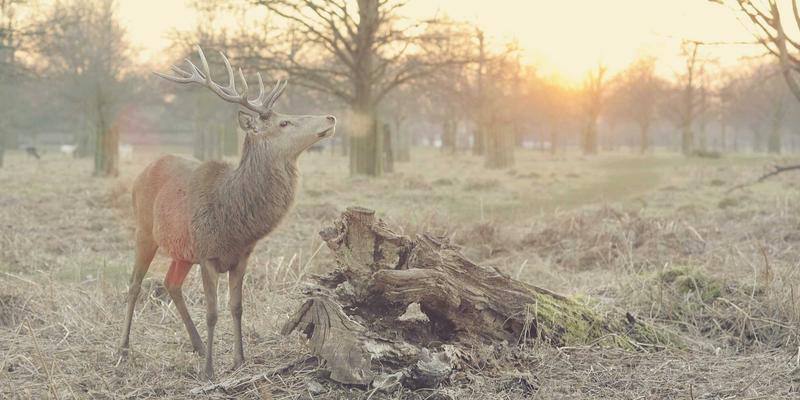建筑公司如何掌控装配式建筑构件生产、运输与现场安装关键技术