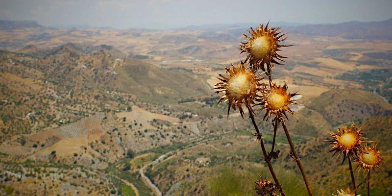 建筑工程67：从施工服务到装修设计，打造高品质装饰装修全流程指南