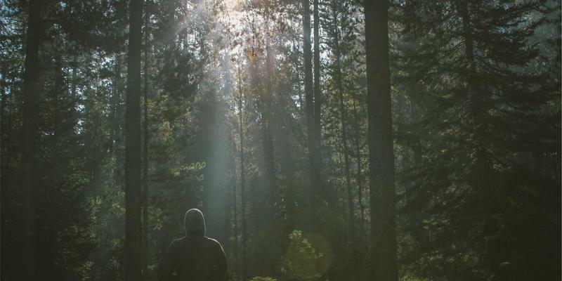 建筑工程79：装饰装修与施工服务如何成就卓越建筑公司