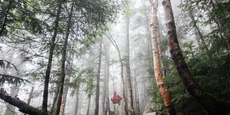 龙信建设专业解析：建筑工程高支模施工安全专项方案编制与实施要点