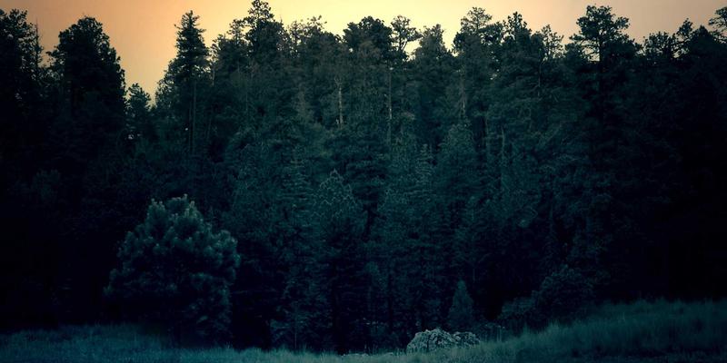 龙信建设：深基坑工程降水、支护及周边环境监测一体化方案解析