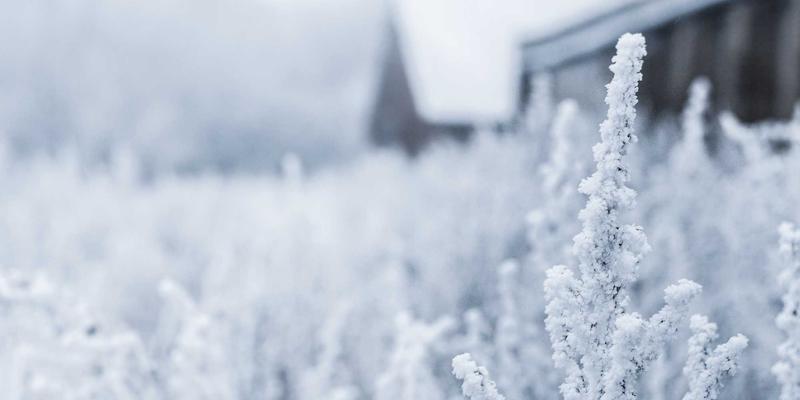 龙信建设解析：装配式住宅设计要点与现场安装难点全攻略